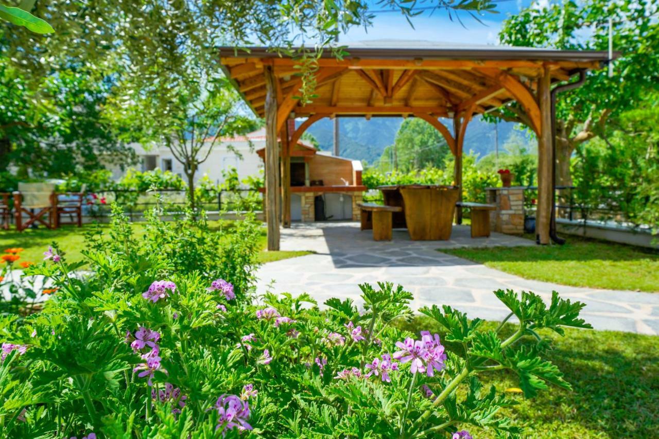 Studios Anemos Chrysi Ammoudia Dış mekan fotoğraf
