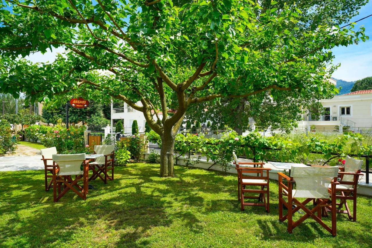 Studios Anemos Chrysi Ammoudia Dış mekan fotoğraf