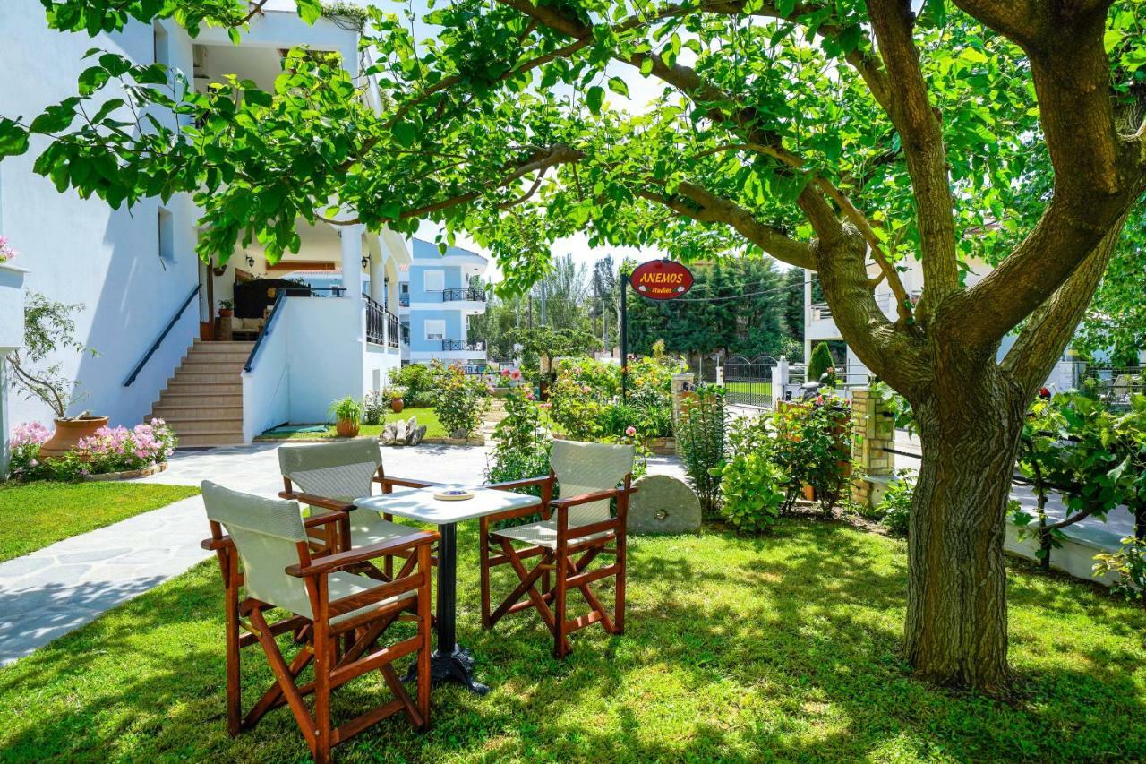 Studios Anemos Chrysi Ammoudia Dış mekan fotoğraf